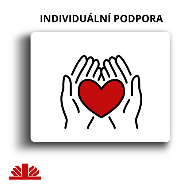 Individuální podpora